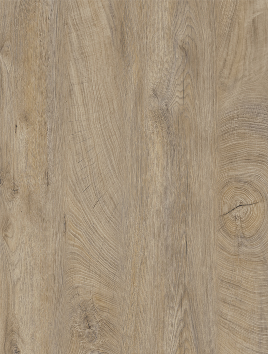 Würmseher Oberfläche 67 Asteiche Satin