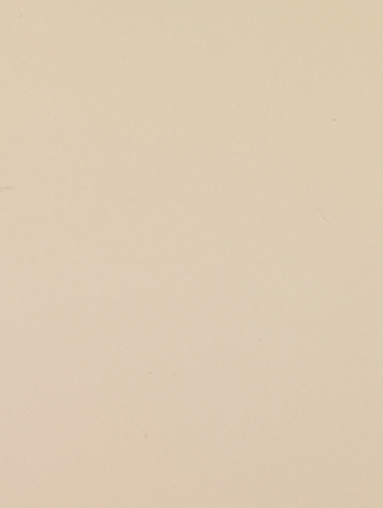 Würmseher Oberfläche 24 Hellelfenbein W-RAL 1015