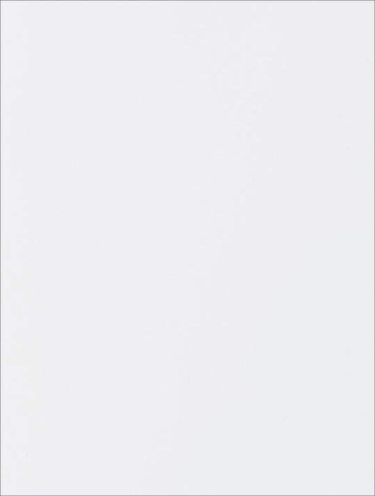 Würmseher Oberfläche 31 Weiss Lack W-RAL 9010