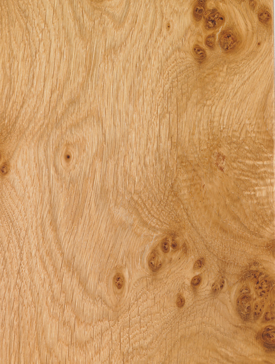 Würmseher Oberfläche Echtholz furniert 43 Wildeiche natur, lackiert