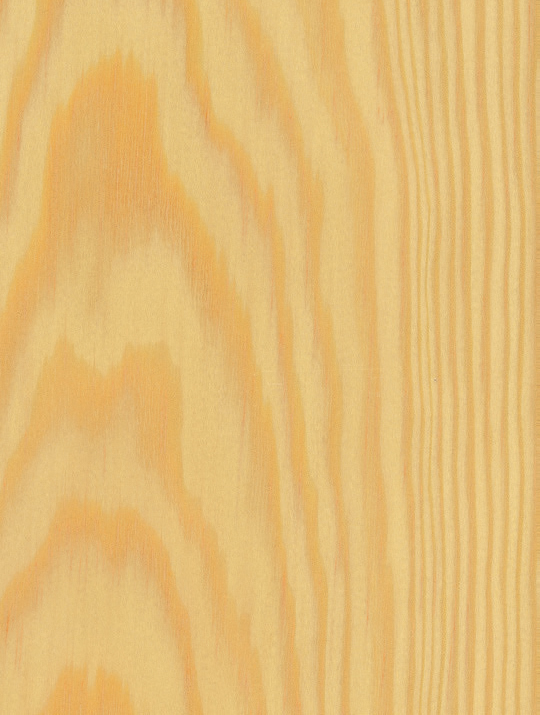 Würmseher Oberfläche Echtholz furniert 45 Kiefer