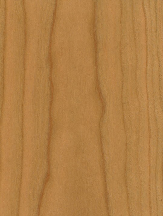 Würmseher Oberfläche Echtholz furniert 52 Kirschbaum | Cherry, natur (amerikanisch)