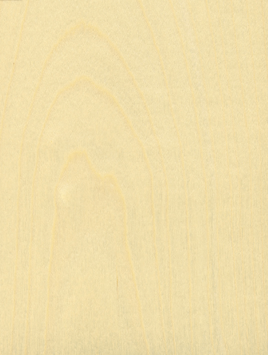 Würmseher Oberfläche Echtholz 61 Ahorn hell