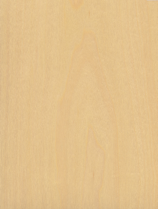 Würmseher Oberfläche Echtholz furniert 66 Maple (Amerikanischer-Ahorn)